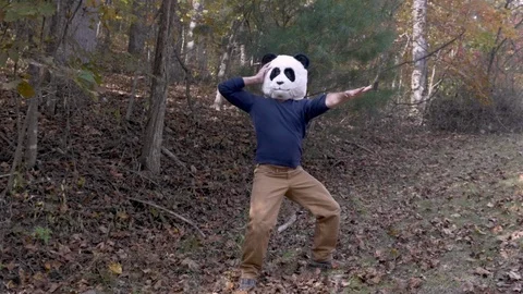 Man wearing a panda head mask dancing and celebrating outside in a park Stock Footage 98435129