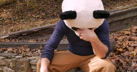 Man wearing a panda head mask acting sad and crying Stock Footage 99234048