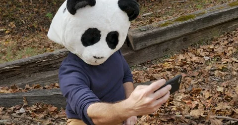 Man wearing a panda head mask taking photos of himself with a mobile phone Stock Footage 99234472