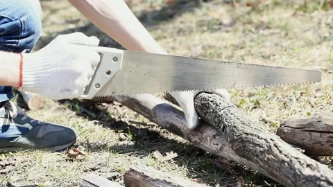 Man wearing Work Gloves Saws Dry Branches With A Saw. Stock Footage 154046271