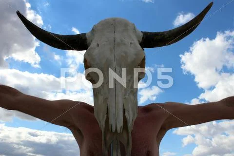 Man Wears Animal Skull Stock Photos