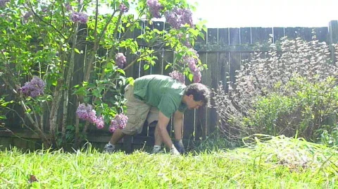 Man Weeding Time Lapse Stock Footage 701320