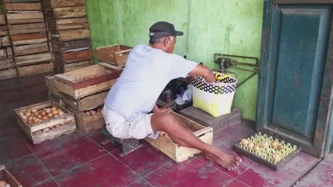 A man weigh chicken eggs using a manual scale Stockbeeldmateriaal 236750603