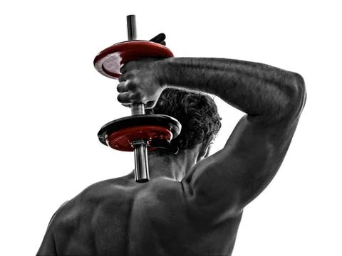 Man weights body builders training  exercises Fotos de archivo