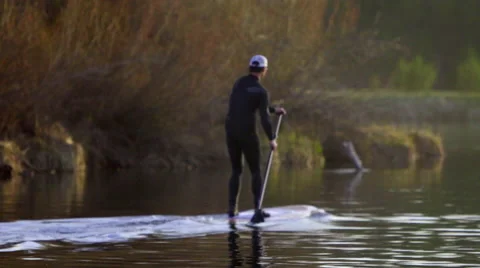 Man in a wetsuit paddle boards on the river Stock Footage 62844272