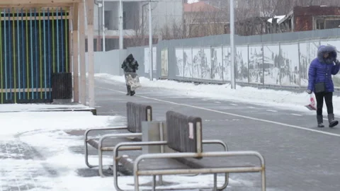 The man with the wheelbarrow 库存影片 86423303