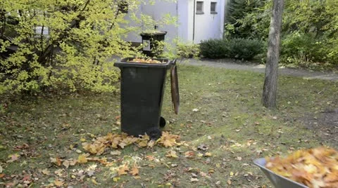 Man with wheelbarrow puts leaves in garbage bin Stock Footage 12448293
