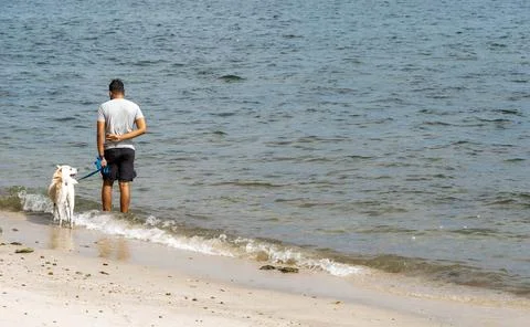 Man while walking his dog on a beach side with white sand and waves Stock Photos
