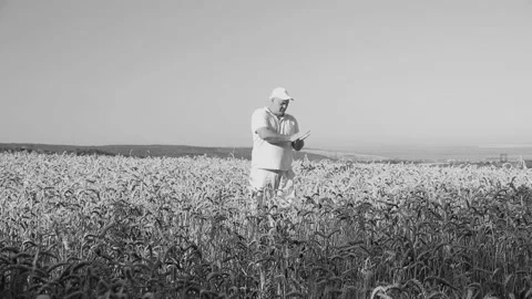 A man in a white cap with a Soviet red star on it rubs a spikelet of rye in Vídeos de archivo 158002084