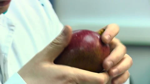 Man in a white coat makes the examination of a mango fruit in the laboratory Stock Footage 59848525