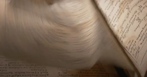 Man in White Gloves is Leafing Through The Old Book, Searching, Script, Letters Stock Footage 52347187