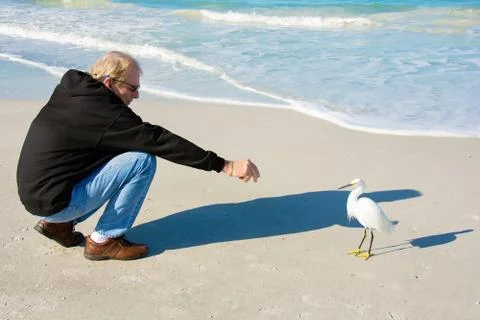 Man with white heron on beach Stock Photos