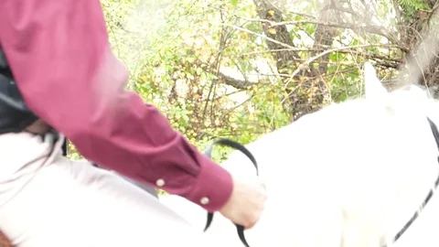 Man on white horse in deep forest 25 Video stock 82118687