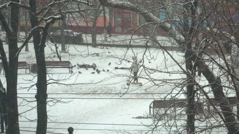 A man in a white jacket rides an electric scooter in a snowy park in winter.elec Stock Footage 149271219