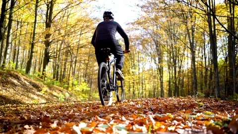 A man who rides a bicycle through the fall forest Stock Footage 82346182