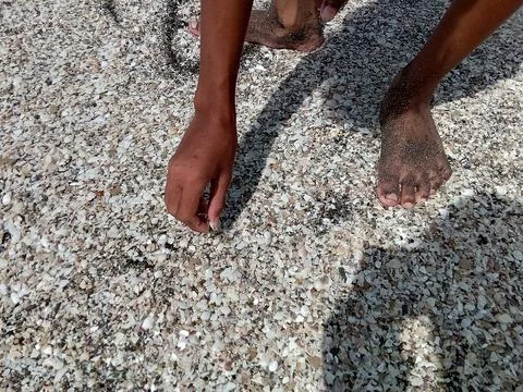 A man who was looking for shells on the beach. Foto stock