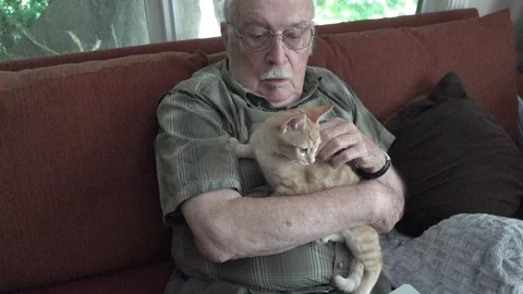 Man with wiggling kitten Stock Footage 106263900