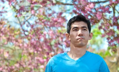 A man in the wild himalayan cherry Stock Photos