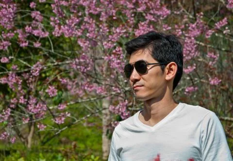 A man in the wild himalayan cherry Stock Photos