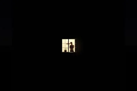 Man in the window Ilustración de archivo
