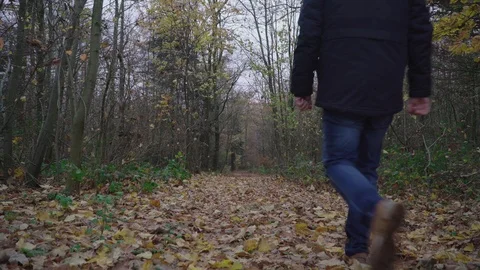 Man in winter clothes walks a path through the autumn forest Stock Footage 98508502