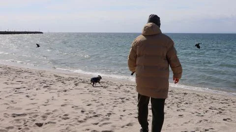 Man in a winter coat walking with a small dog on a sandy beach by the sea. Stock Photos