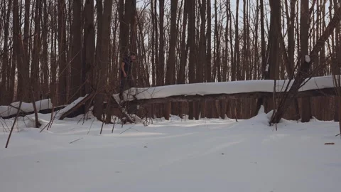 A man in a winter forest falls, falling from a log, falling into the snow Stock Footage 268493412