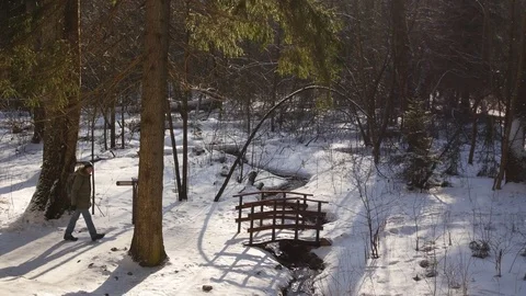 Man in winter forest Video stock 79579925