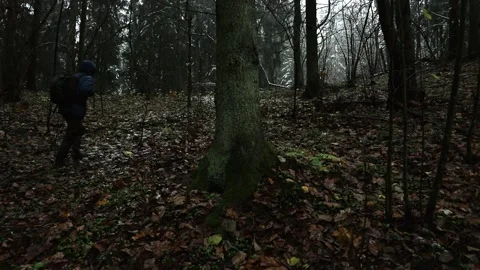 Man in a winter jacket with a backpack behind his back is walking in forest Stock Footage 143179177