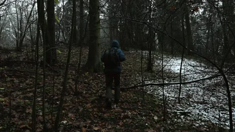 Man in a winter jacket with a backpack behind his back walk in dark forest Stock Footage 143179427