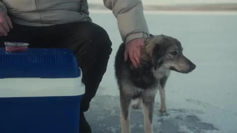 Man in winter jacket pets a dog beside a blue cooler on ice, showcasing a moment Stock Footage 331755506