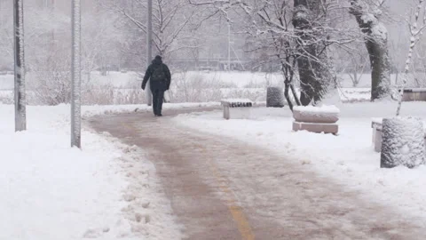 Man in winter park Stock Footage 147728400