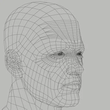 Man wireframe illustration Stock Illustration
