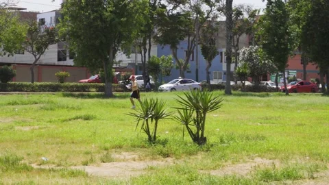 A man without a polo running through a park in the daytime Stock Footage 150656116