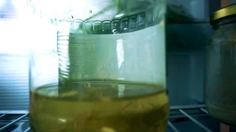 A man without a shirt in shorts opens the refrigerator, he is half empty, shows 動画素材 102896571