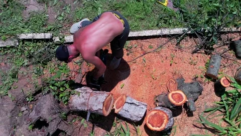 Man without t-shirt is cutting broken tree under the sun Stock Footage 156228249