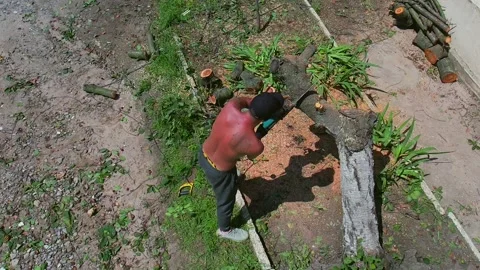 Man without t-shirt is cutting broken tree under the sun by electric saw Stock Footage 156228250