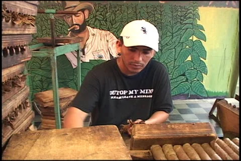 Man &amp; women rolling cigars 스톡 동영상 5295443