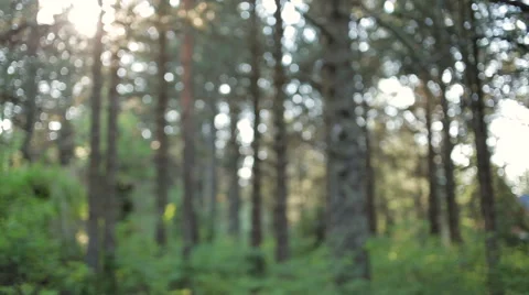 Man in the woods deep brathing after running 스톡 동영상 59190809