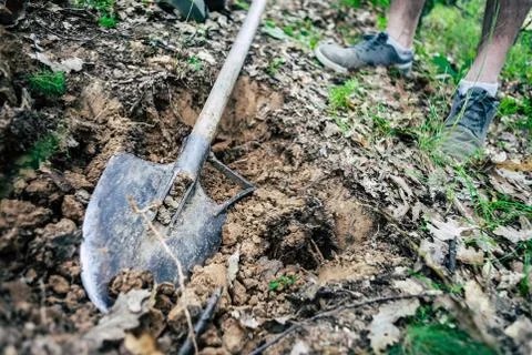 A man in the woods digging a hole. Fotos Stock
