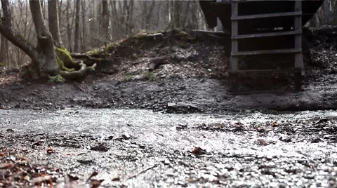 Man in the woods Stock Footage 1012941