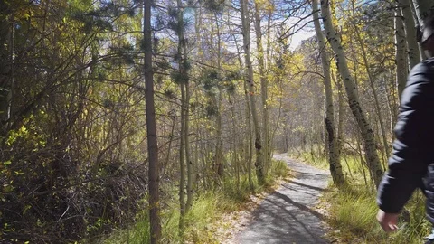 Man In Woods Stock Footage 71812083