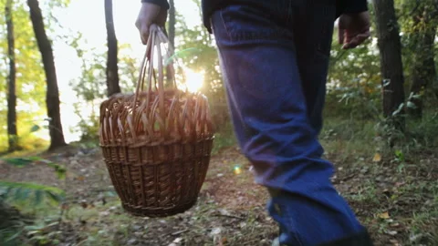 A man in the woods walks with a basket looking for mushrooms Vídeo Stock 106976796