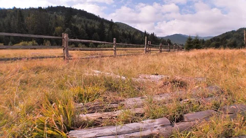 Man in work boots going through field of grass. Farmer going back. Meadow in Stock Footage 108213082