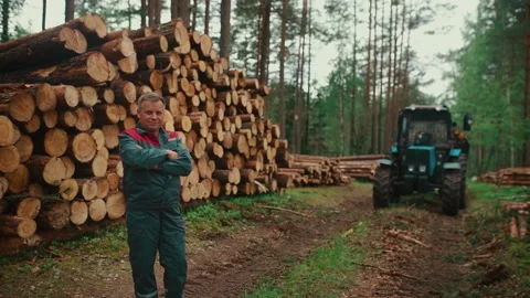 A man in work clothes against the background of stacked firewood. Stock Footage 233905141