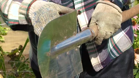 A man in work clothes and gloves cleans a shovel from the ground Stock-Footage 316323067