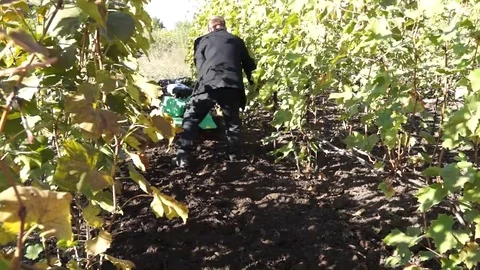 A man in work clothes digging the ground with a mini-cultivator. Stock Footage 99794675