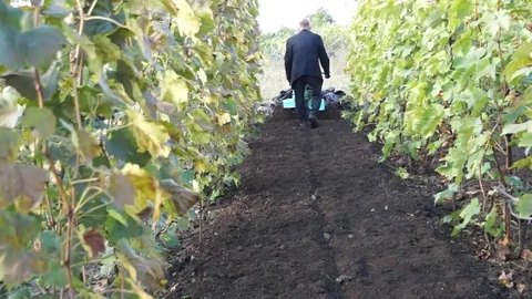 A man in work clothes digging the ground with a mini-cultivator. Stock Footage 99794676