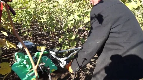 A man in work clothes digging the ground with a mini-cultivator. Stock Footage 99795598