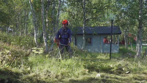 Man in work clothes mows the wild forest grass with a lawn mower Stock Footage 229968496